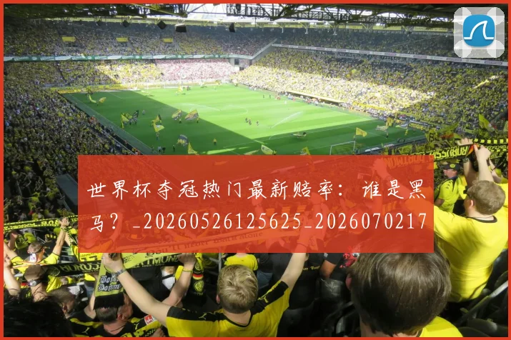 世界杯夺冠热门最新赔率：谁是黑马？_20260526125625_20260702173808