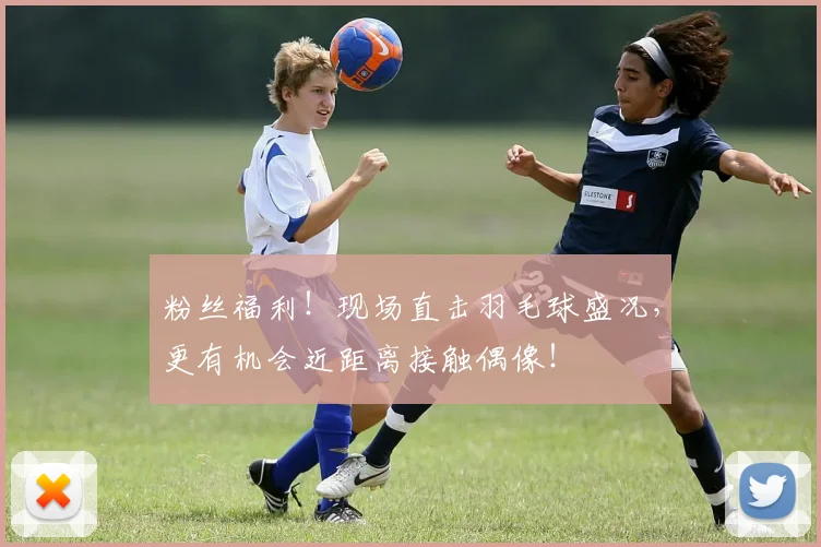 粉丝福利！现场直击羽毛球盛况，更有机会近距离接触偶像！